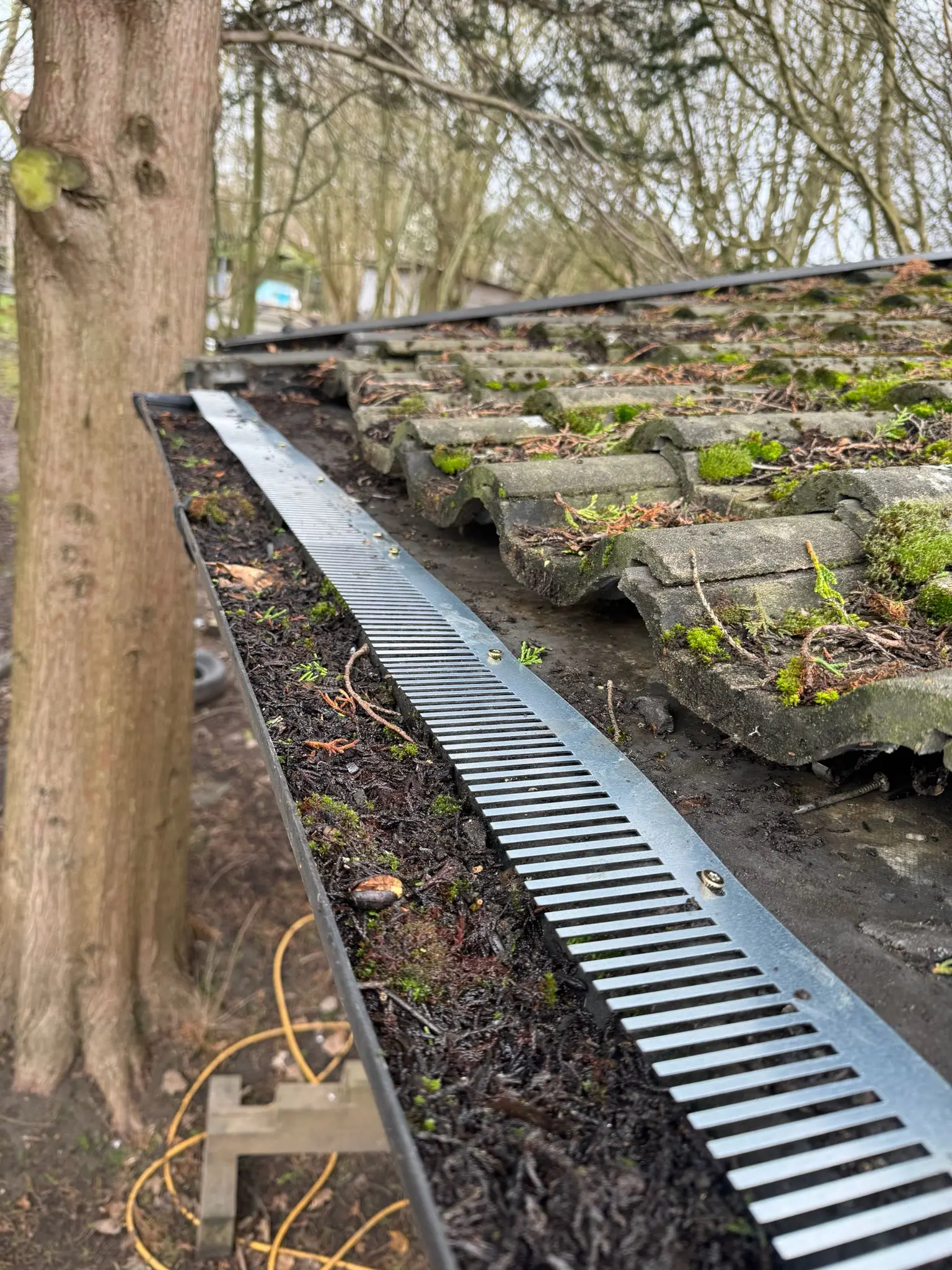 Bird proofing comb strip guard installed along gutter to seal the tile-gutter gap