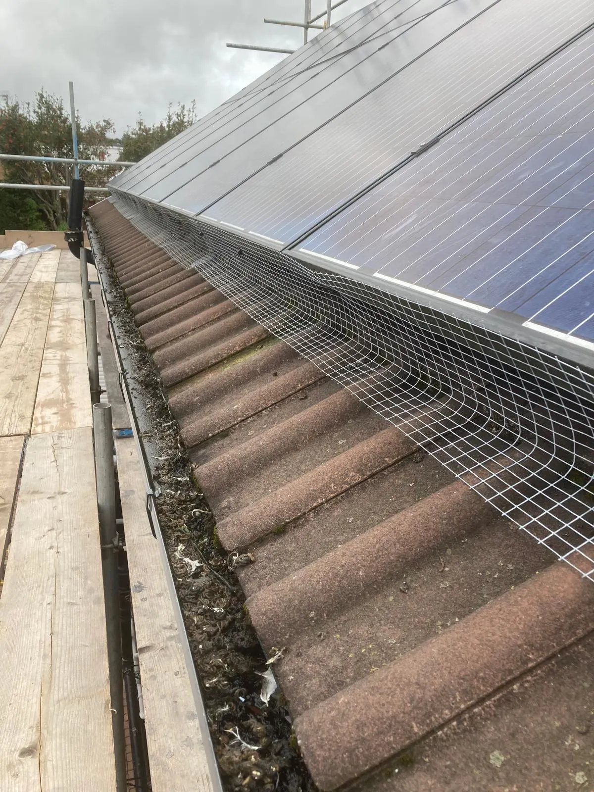 Bird proofing front and back wire guard protecting solar panels from pigeons