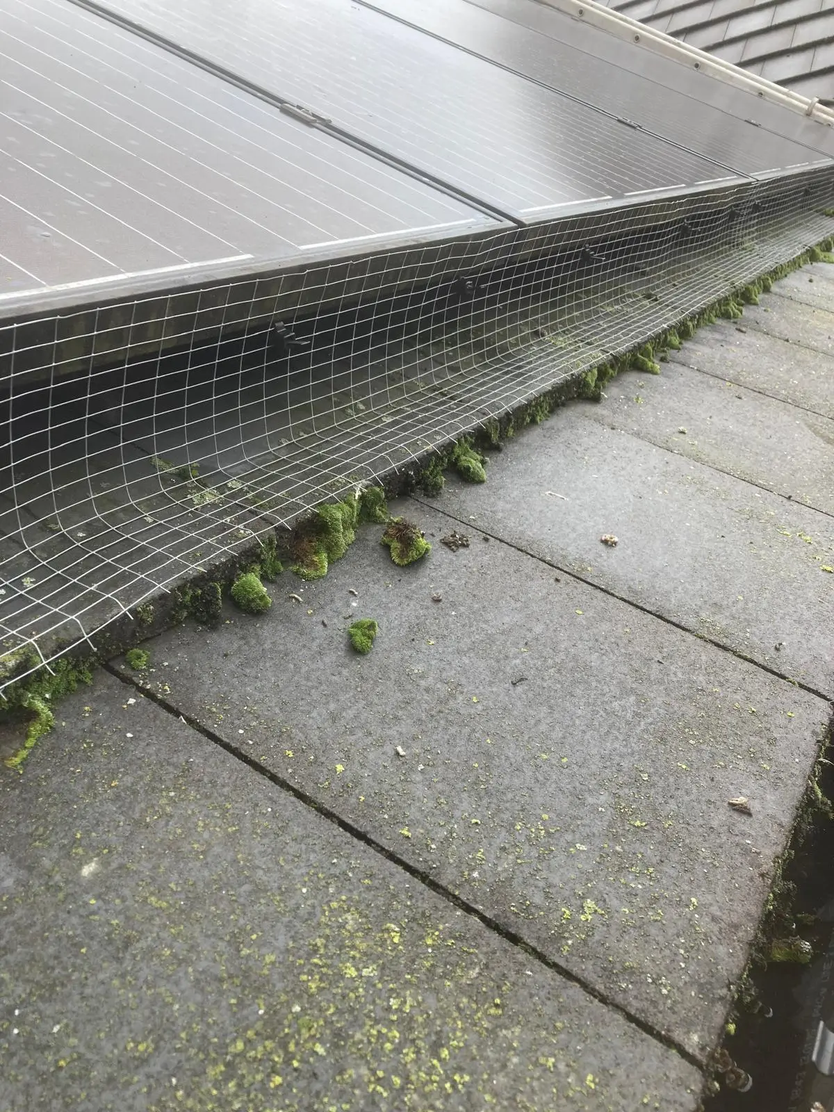 Galvanised steel mesh bird proofing clipped around solar panels