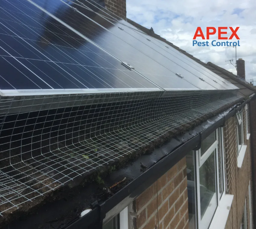 Bird proofing mesh installed around solar panels by Apex Pest Control