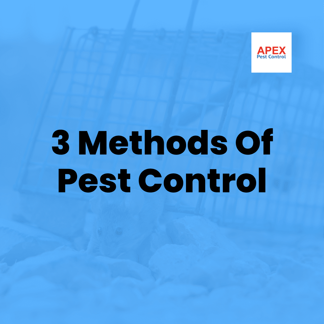 The Best 3 Methods Of Pest Control Apex Pest Control