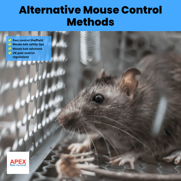 alternative mouse control methods