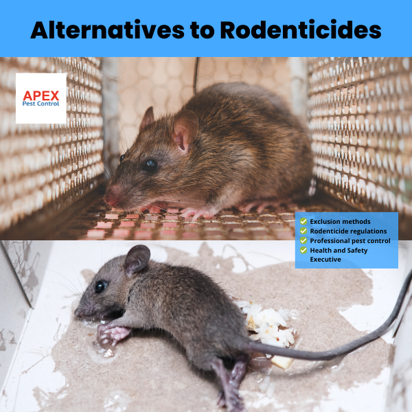 alternatives to rodenticides