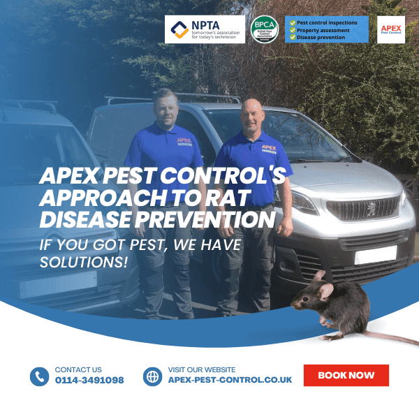 apex pest control's approach to rat disease prevention