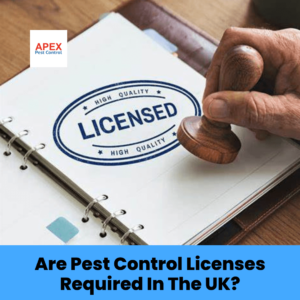 Are Pest Control Licenses Required In The UK