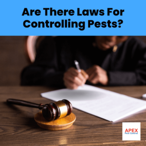 Are There Laws For Controlling Pests