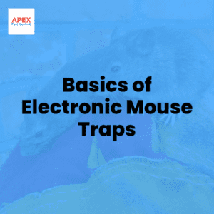 basics of electronic mouse traps