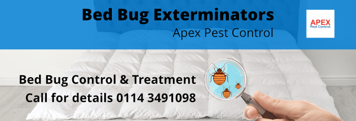 Bed Bug Control & Treatment