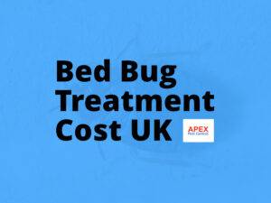 Apex Pest Control for Your Bed Bug Treatment