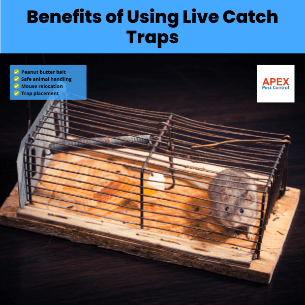 benefits of using live catch traps