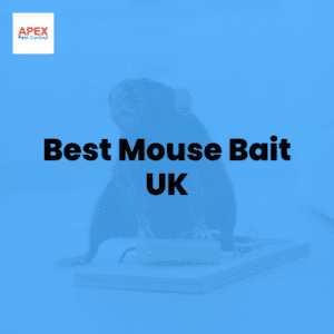 best mouse bait uk