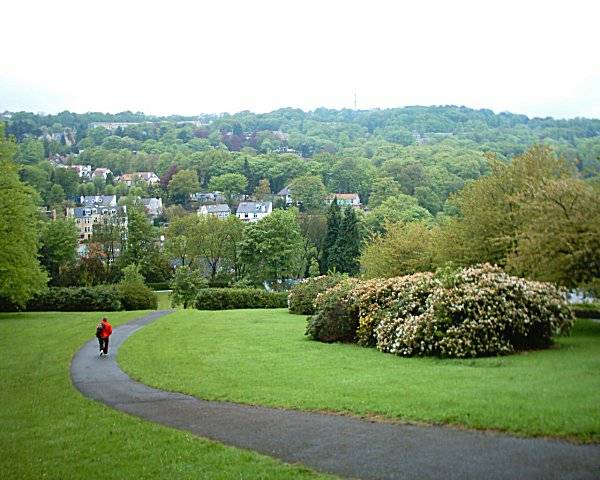 bingham park