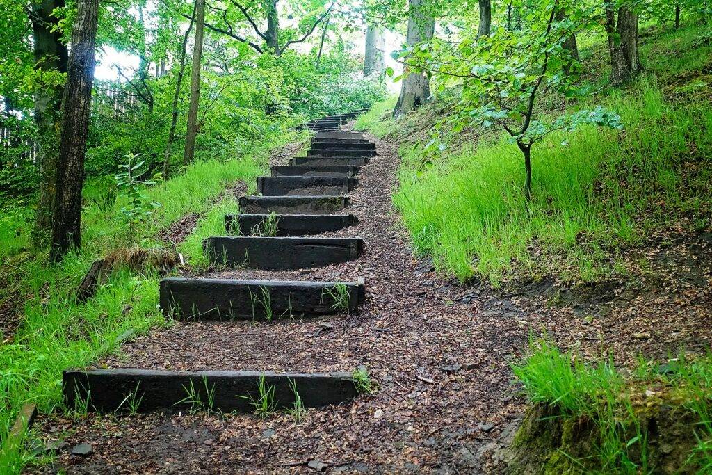 brincliffe edge wood