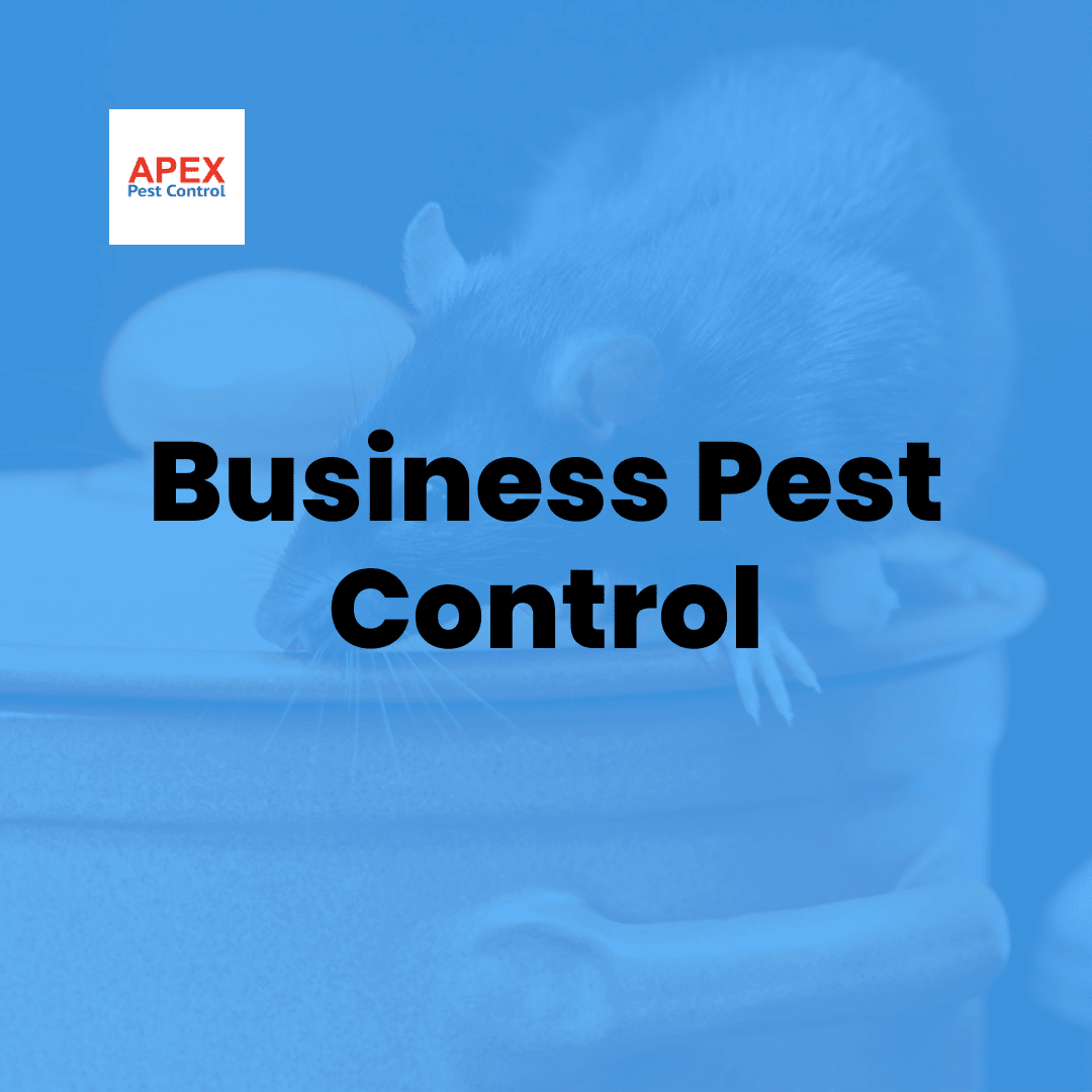 Business Pest Control