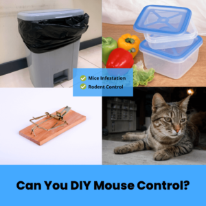 Can You DIY Mouse Control