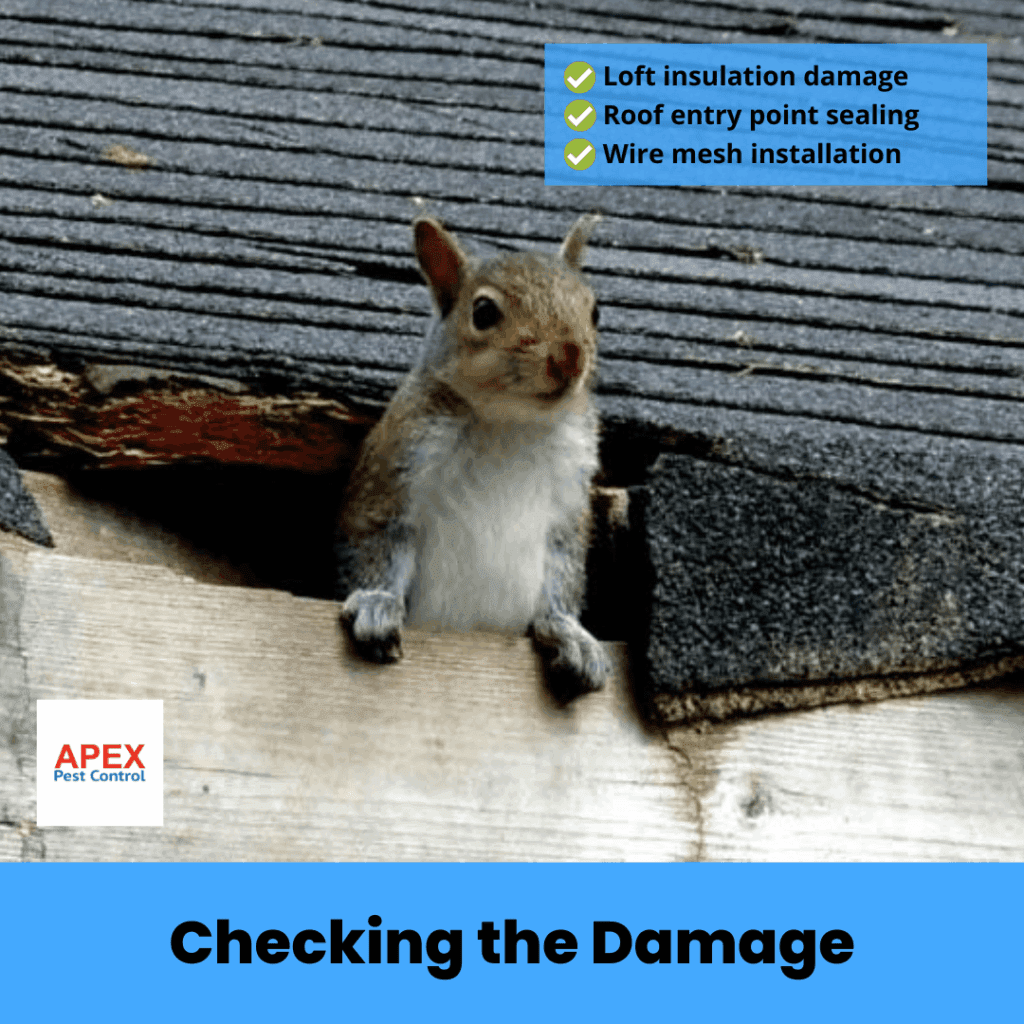 checking the damage