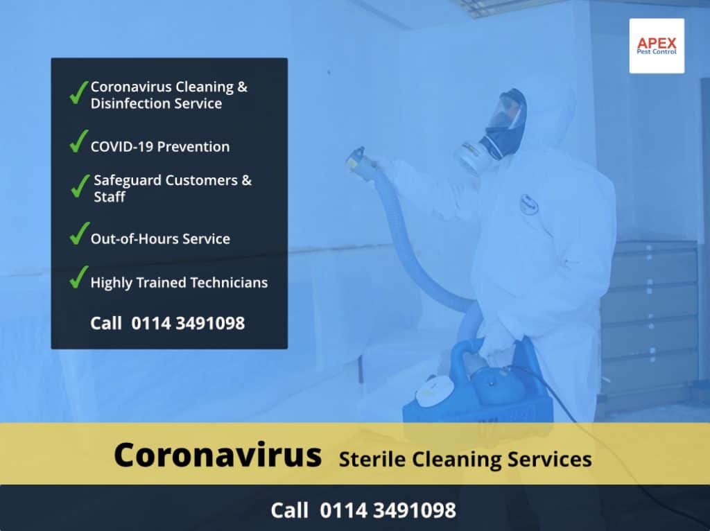 coronavirus cleaning service