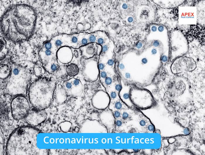 Coronavirus sterile cleaning services