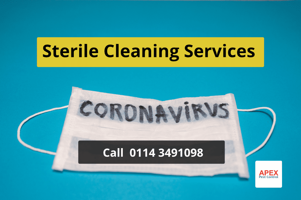 Coronavirus sterile cleaning service