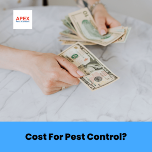 Cost For Pest Control