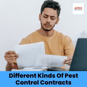 Different Kinds Of Pest Control Contracts