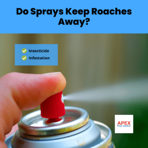 Do Sprays Keep Roaches Away