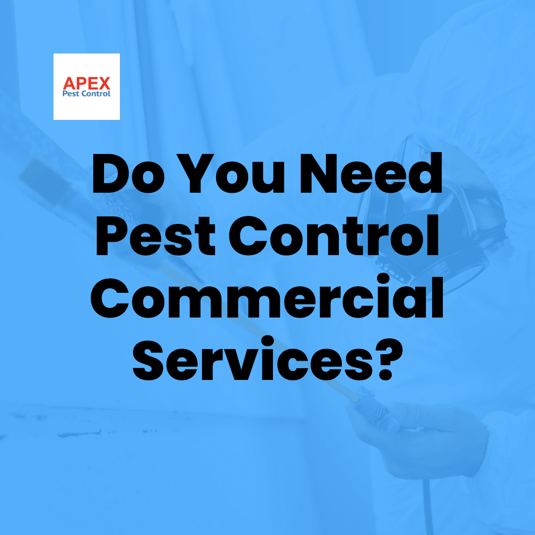 Do You Need Pest Control Commercial Services