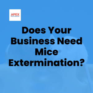Does Your Business Need Mice Extermination