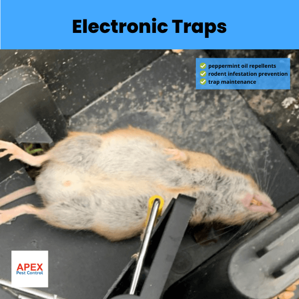 electronic traps