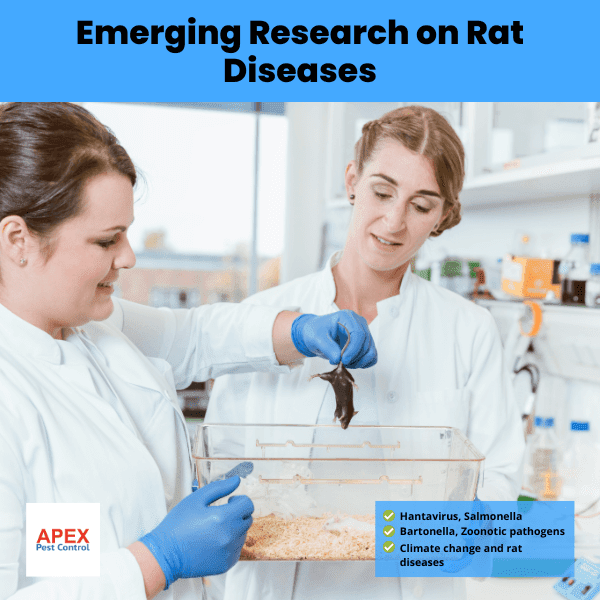 emerging research on rat diseases