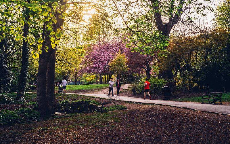 endcliffe park