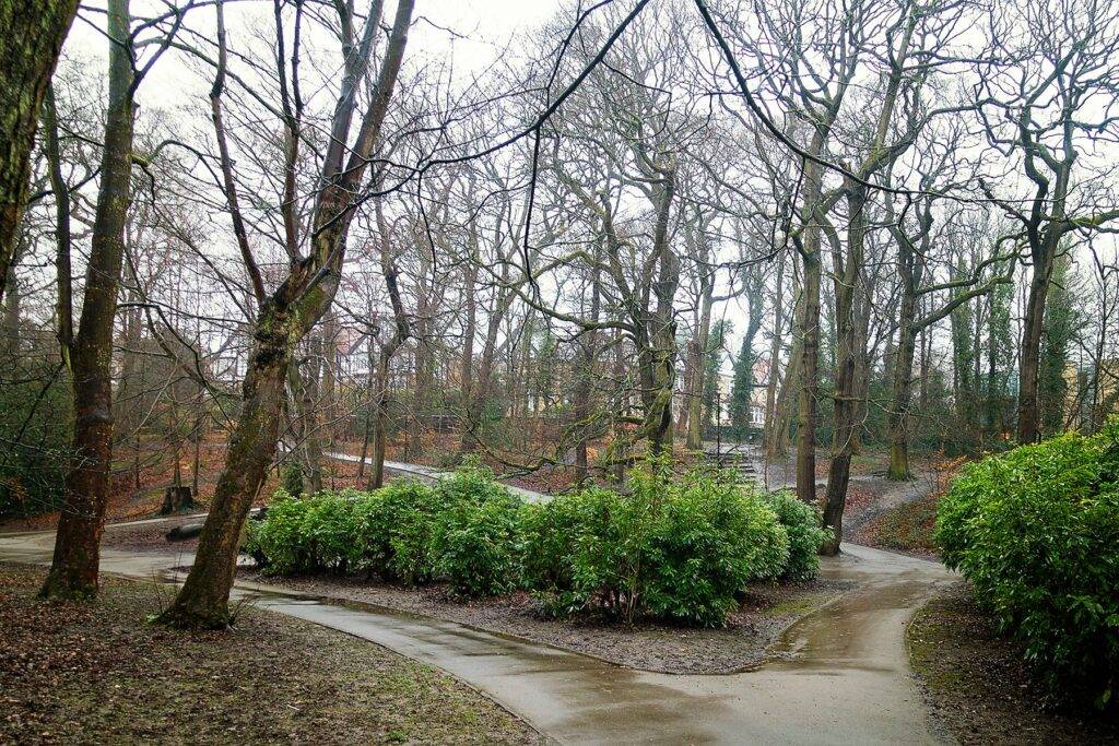 endcliffe woodland trails