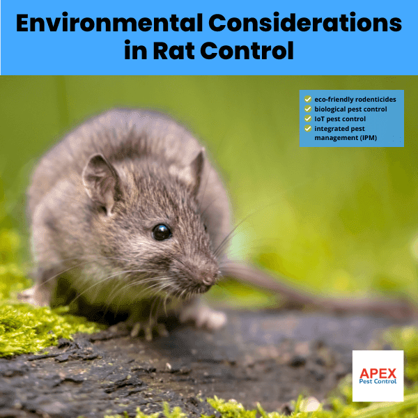 Environmental Considerations in Rat Control