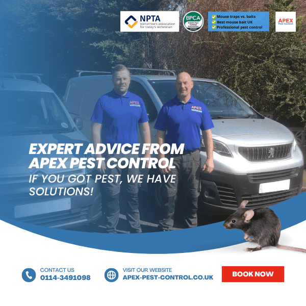 expert advice from apex pest control