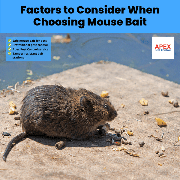 factors to consider when choosing mouse bait