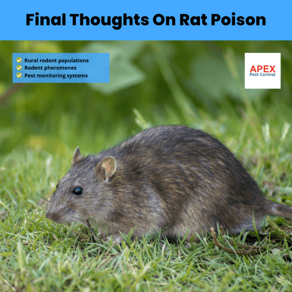 final thoughts on rat poison