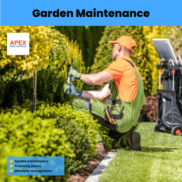 garden maintenance