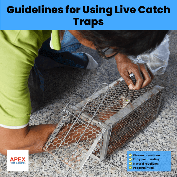 guidelines for using live catch traps