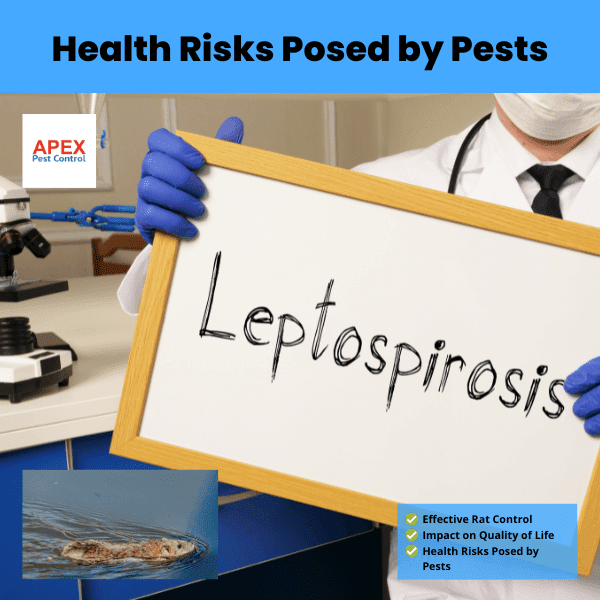 Health Risks Posed by Pests