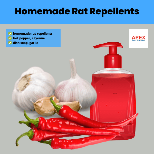 homemade rat repellents