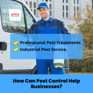 How Can Pest Control Help Businesses