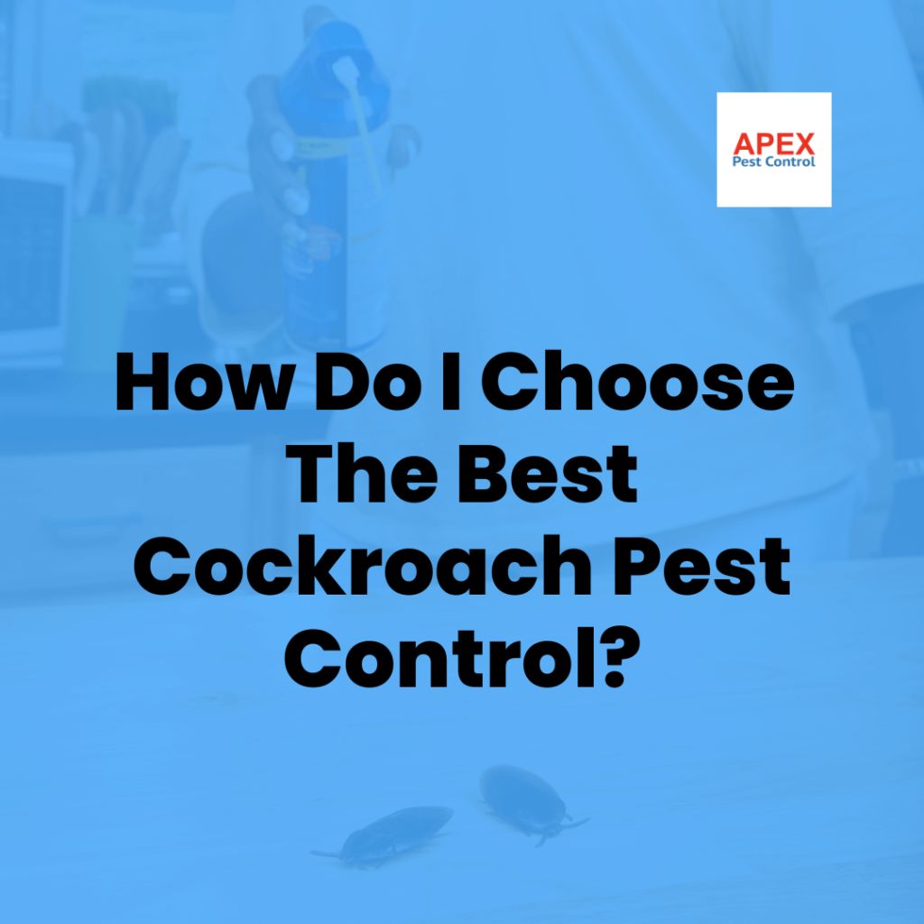 how-do-i-choose-the-best-cockroach-pest-control-apex-pest-control