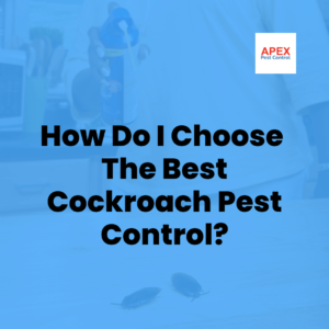 How Do I Choose the Best Cockroach Pest Control