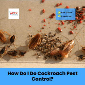 How Do I Do Cockroach Pest Control