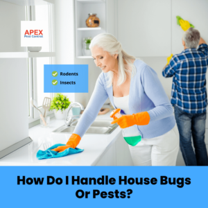 How Do I Handle House Bugs Or Pests