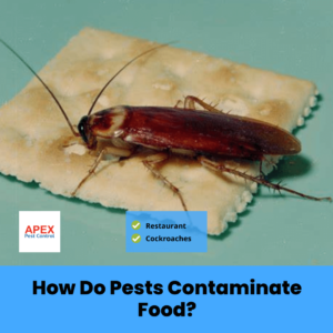 How Do Pests Contaminate Food