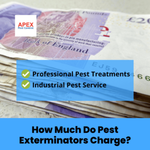 How Much Do Pest Exterminators Charge