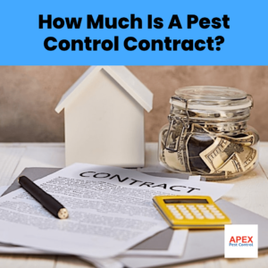 How Much Is A Pest Control Contract