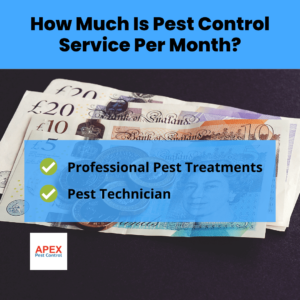 How Much Is Pest Control Service Per Month