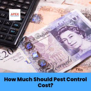 How Much Should Pest Control Cost